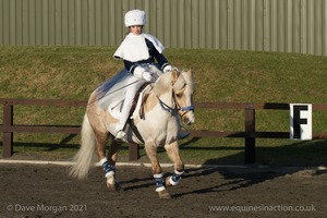 Collecting Ring Fancy Dress!